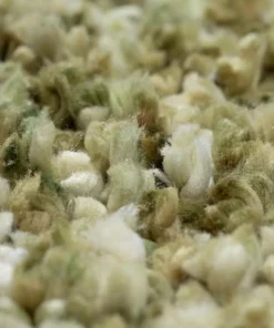 Dolce By Addison Rug Shag Aloe Plush 13 Ft. 9 Ft. X Area 18 Dolce By Addison Rug Shag Aloe Plush 13 Ft. 9 Ft. X Area -TrafficMaster Sales aloe addison rugs area rugs hddo1al9x13 44 1000