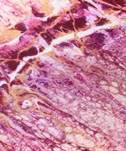 Copeland By Addison Rug Flamingo X 6 In. 8 In. 2 Ft. 1 Ft. Accent Abstract 19 Copeland By Addison Rug Flamingo X 6 In. 8 In. 2 Ft. 1 Ft. Accent Abstract -TrafficMaster Sales flamingo addison rugs area rugs hdkc16fl20x30 fa 1000 1