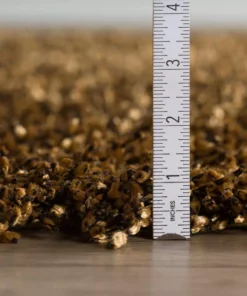 Runner By Addison Rugs Rug X 1 6 In. 3 In. 2 Ft. 7 Ft. Area Decadent Gold -TrafficMaster Sales gold addison rugs area rugs hddc1go2x8 c3 1000