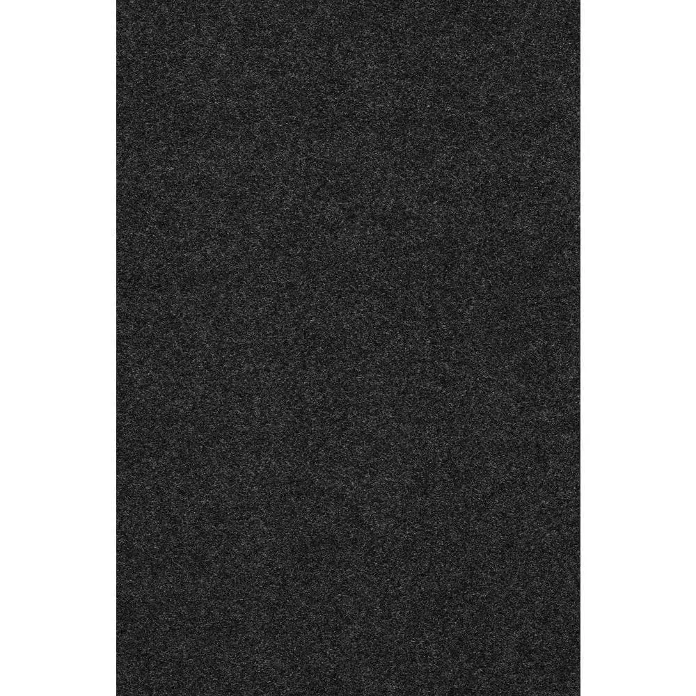 Trafficmaster Seafront Color Gunnel Carpet 6 Ft. Indoor/Outdoor Marine Texture Gray 6 Trafficmaster Seafront Color Gunnel Carpet 6 Ft. Indoor/Outdoor Marine Texture Gray - Image 4