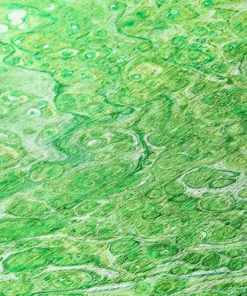 Copeland By Addison Rug Lime X 6 In. 8 In. 2 Ft. 1 Ft. Accent Abstract -TrafficMaster Sales lime addison rugs area rugs hdkc5lm20x30 fa 1000 1