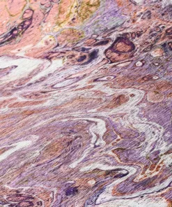 Copeland By Addison Rug Primrose 1 Ft. 8 In. 2 Ft. 6 In. X Accent Abstract -TrafficMaster Sales primrose addison rugs area rugs hdkc6pr20x30 4f 1000