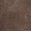 By Field Day Brown Trafficmaster Carpet Tile 22.50 Sq. Ft. 18 In. (10 Tiles/Case) 18 X Peel And Stick Residential -TrafficMaster Sales rollins trafficmaster carpet tile ht001 5832 1818 64 1000
