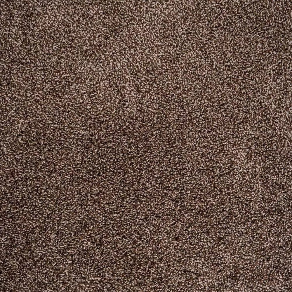 By Field Day Brown Trafficmaster Carpet Tile 22.50 Sq. Ft. 18 In. (10 Tiles/Case) 18 X Peel And Stick Residential 3 By Field Day Brown Trafficmaster Carpet Tile 22.50 Sq. Ft. 18 In. (10 Tiles/Case) 18 X Peel And Stick Residential