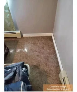 By Field Day Brown Trafficmaster Carpet Tile 22.50 Sq. Ft. 18 In. (10 Tiles/Case) 18 X Peel And Stick Residential 18 By Field Day Brown Trafficmaster Carpet Tile 22.50 Sq. Ft. 18 In. (10 Tiles/Case) 18 X Peel And Stick Residential -TrafficMaster Sales rollins trafficmaster carpet tile ht001 5832 1818 d4 1000